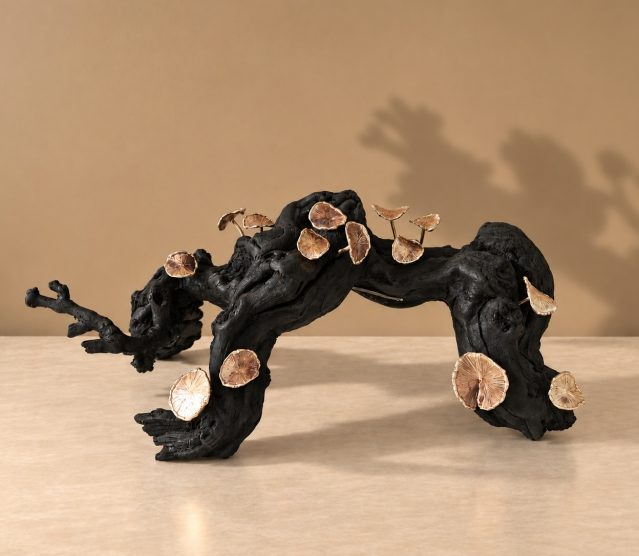 Manon_Damiens_Renaissance_V_17x42x21cm